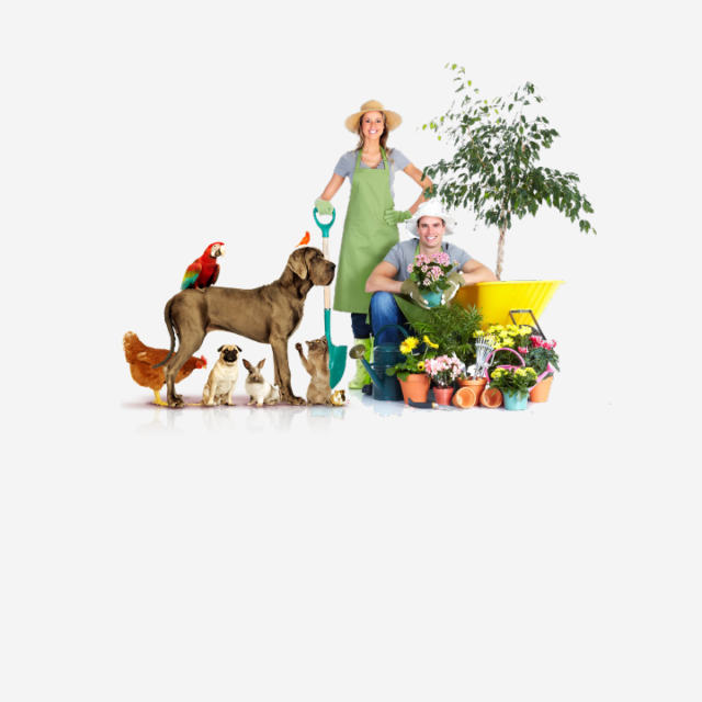 Animaux et Jardinage